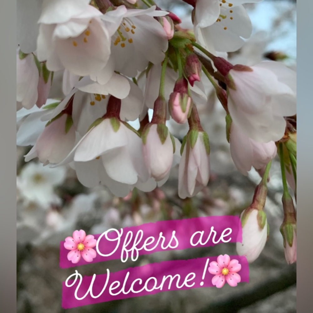 🌸offers are welcome!🌸